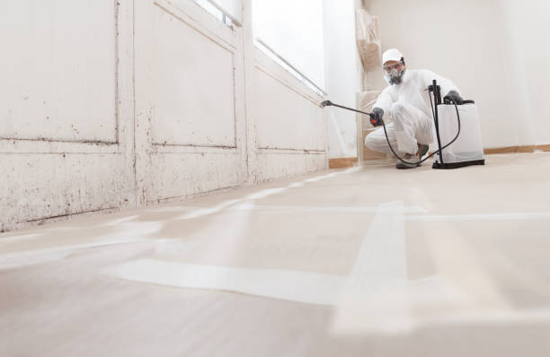 24/7 Emergency Mold Remediation experts in Wycombe, PA